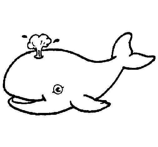 Disegno di Balena che spruzza  da Colorare