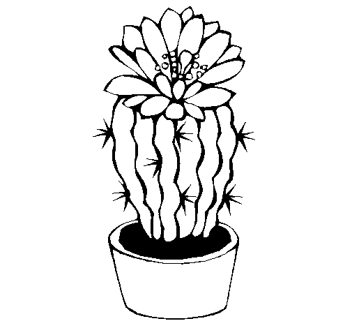 Disegno di Cactus fiorito  da Colorare