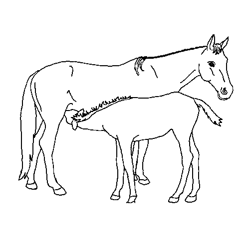 Disegno di Cavalli  da Colorare