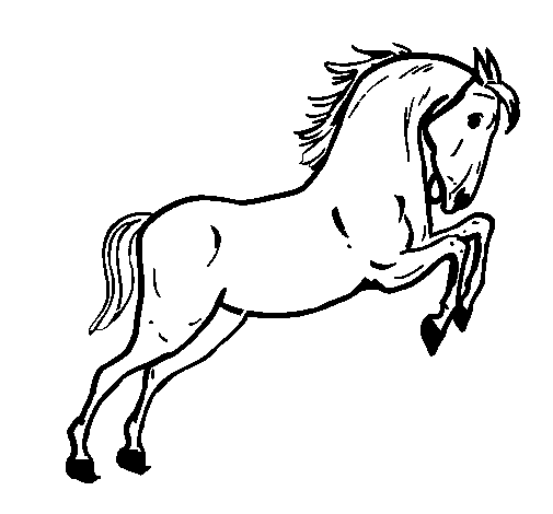Disegno di Cavallo che salta  da Colorare