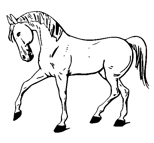 Disegno di Cavallo con la zampa alzata  da Colorare
