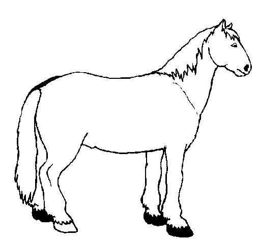 Disegno di Cavallo tranquillo  da Colorare