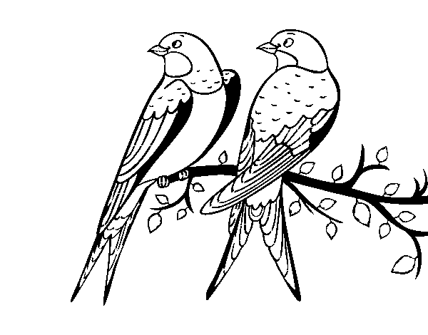 Disegno di Coppia di uccelli da Colorare