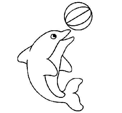 Disegno di Delfino con una palla  da Colorare