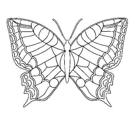 Disegno di Farfalla 16 da Colorare