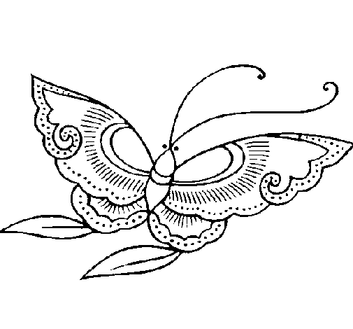 Disegno di Farfalla  8a da Colorare
