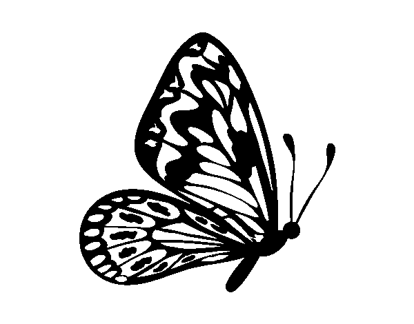 Disegno di Farfalla ali normale da Colorare