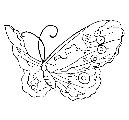 Disegno di Farfalla Elegante da Colorare