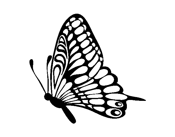 Disegno di Farfalla sinistra da Colorare