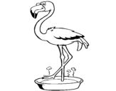 Dibujo de Fenicottero con le zampe in ammollo 