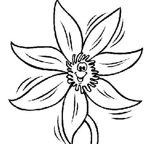 Disegno di Fiore  2a da Colorare