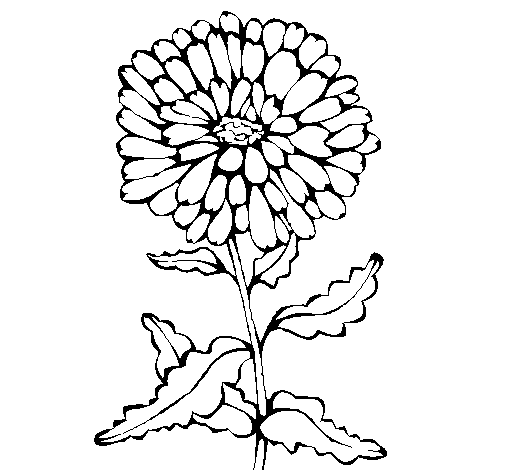 Disegno di Fiore  3a da Colorare