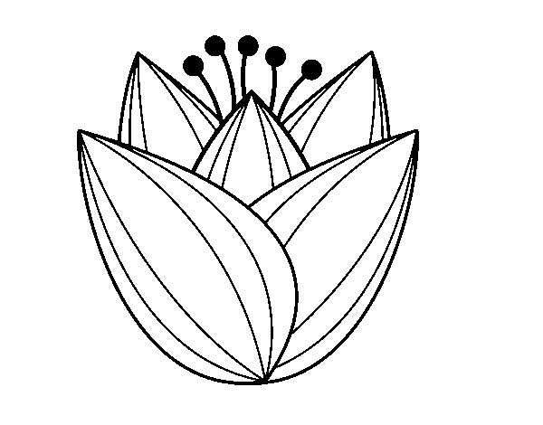 Disegno di Fiore di tulipano da Colorare