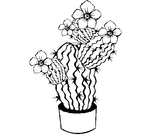Disegno di Fiori di cactus  da Colorare