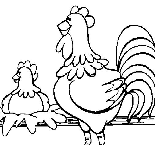 Disegno di Gallo e gallina  da Colorare