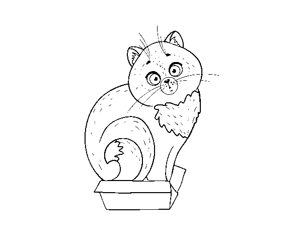 Disegno di Gattino in una scatola da Colorare