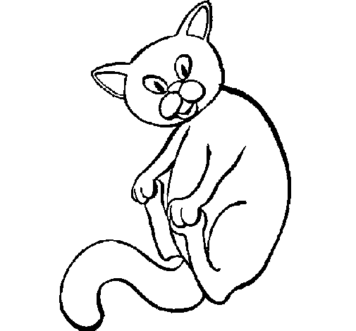 Disegno di Gattino  da Colorare