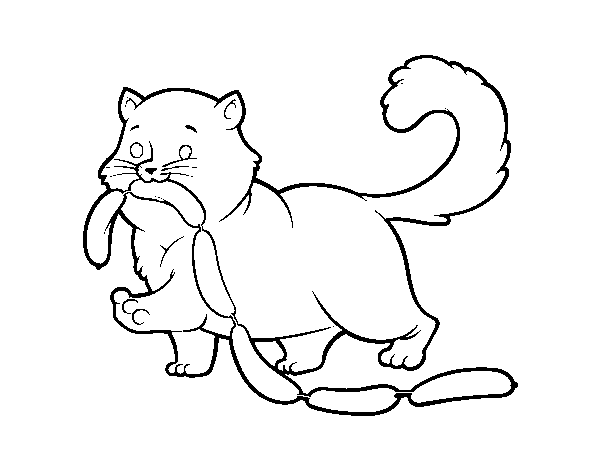 Disegno di Gatto con salsiccia da Colorare