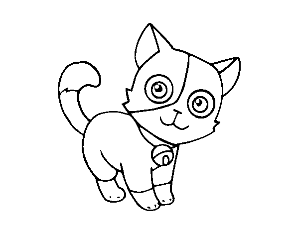 Disegno di Gatto domestico da Colorare