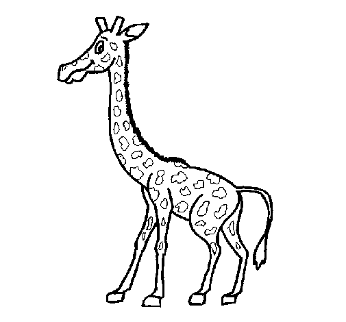 Disegno di Giraffa  1 da Colorare