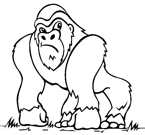 Disegno di Gorilla da Colorare