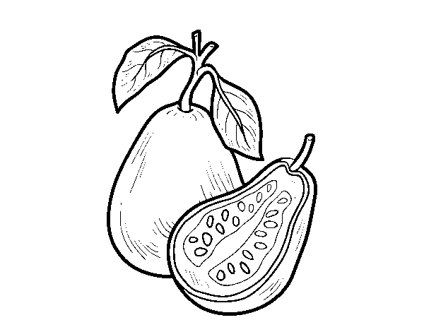 Disegno di Guava da Colorare