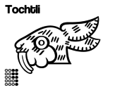 Disegno di I giorni Aztechi: lepre Tochtli da colorare