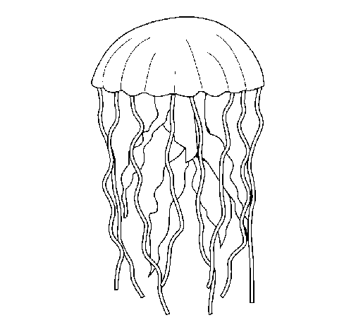 Disegno di Medusa  da Colorare
