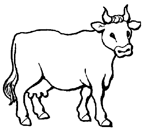 Disegno di Mucca 3 da Colorare