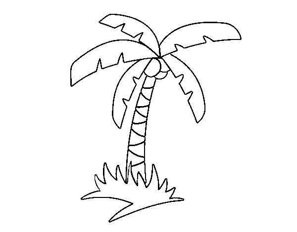 Disegno di Palma tropicale da Colorare