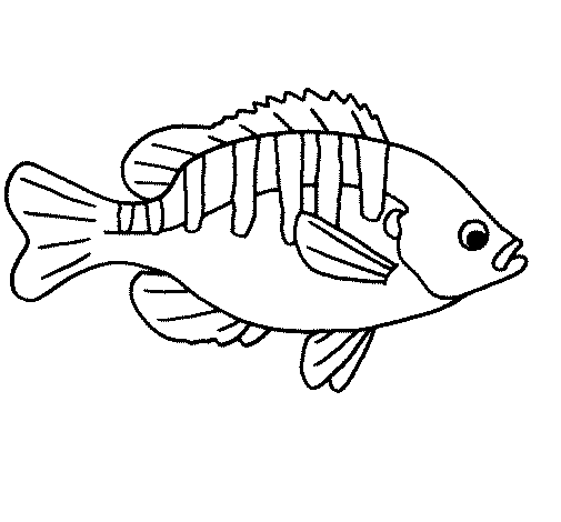 Disegno di Pesce  3a da Colorare