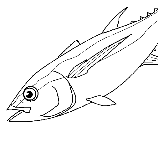 Disegno di Pesce  4a da Colorare