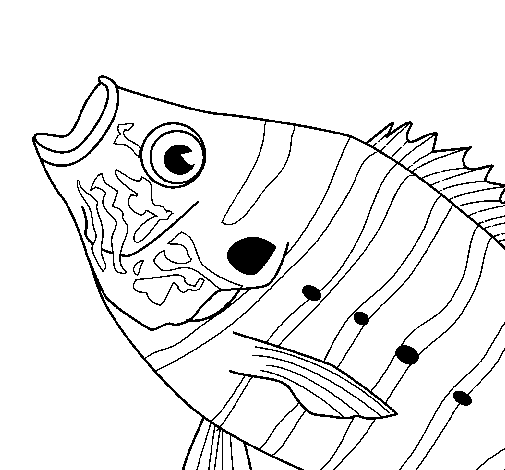 Disegno di Pesce  7 da Colorare
