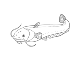 Dibujo de Pesce gatto