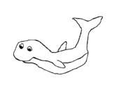 Disegno di Piccola balena da colorare