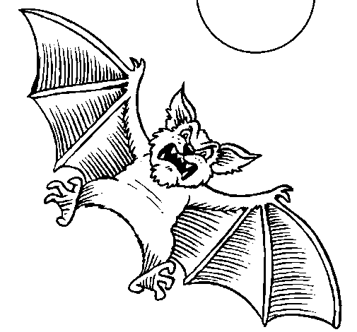 Disegno di Pipistrello cane  da Colorare
