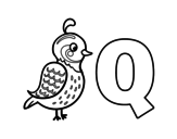 Disegno di Q di Quetzal da colorare