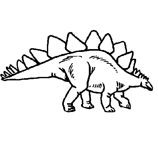 Disegno di Stegosaurus  da Colorare