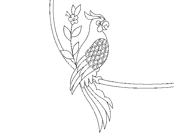 Disegno di Tatuaggio di pappagallo da Colorare