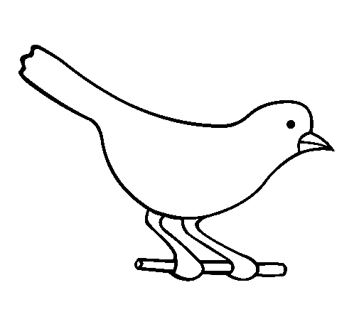 Disegno di Uccello 4 da Colorare