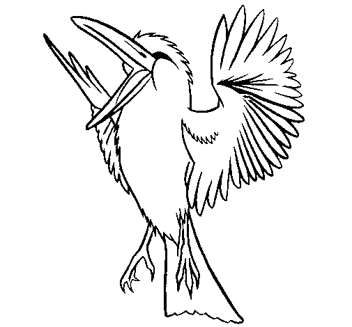 Disegno di Uccello ribelle  da Colorare