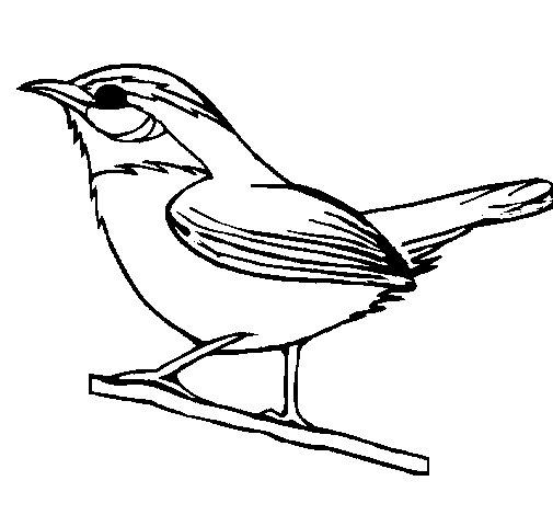 Disegno di Uccello selvatico da Colorare