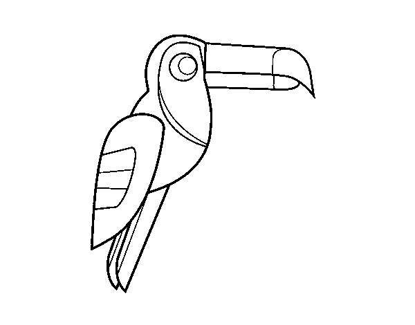 Disegno di Uccello Tucano da Colorare