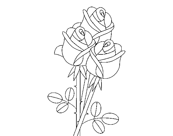 Disegno di Un mazzo di rose da Colorare