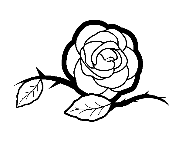 Disegno di Una bella rosa da Colorare