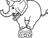 Disegno Elefante sulla palla  pitturato su u