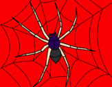 Disegno Ragno pitturato su amico di spiderman