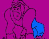 Disegno Gorilla pitturato su GRETA C.