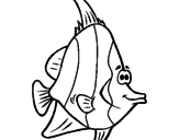 Disegno Pesce tropicale  pitturato su ALY