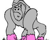 Disegno Gorilla pitturato su lolli
